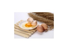 鸡蛋特写高清图片养鸡场的鸡蛋高清图片鸡蛋高清图片鸡蛋高清图